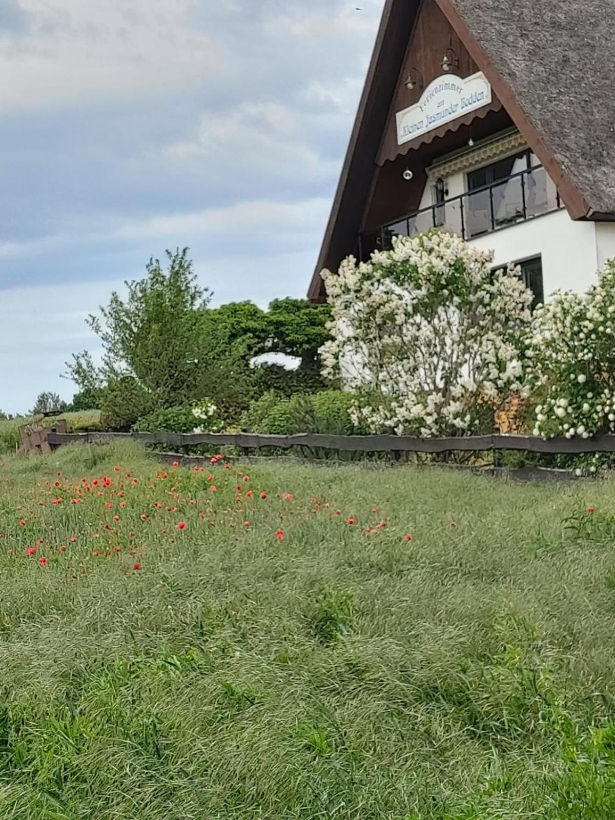 Pension Petersen Bergen Auf Rugen Zimmer foto