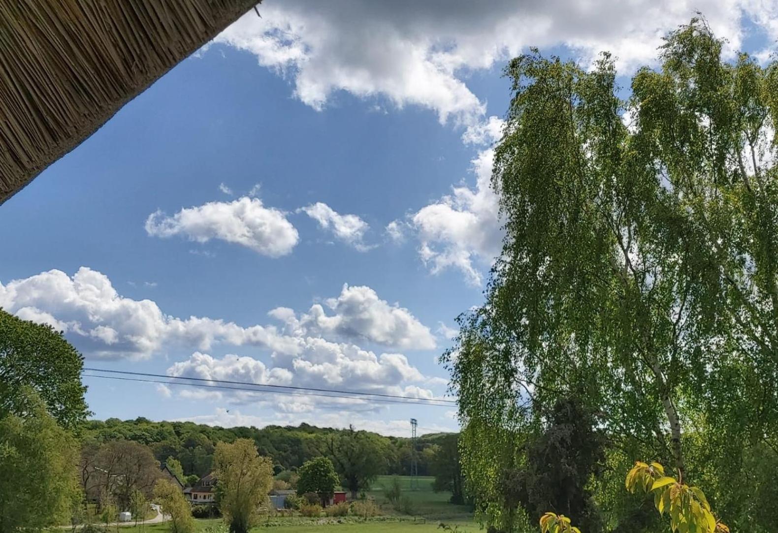 Pension Petersen Bergen Auf Rugen Zimmer foto